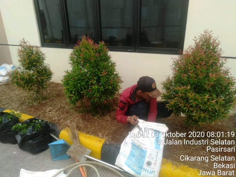 gardener service jakarta