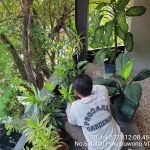 Giat Gardener Progarda di Satay Khas senayan (4)